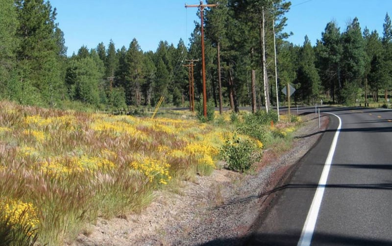 Chiloquin Highway preview 9
